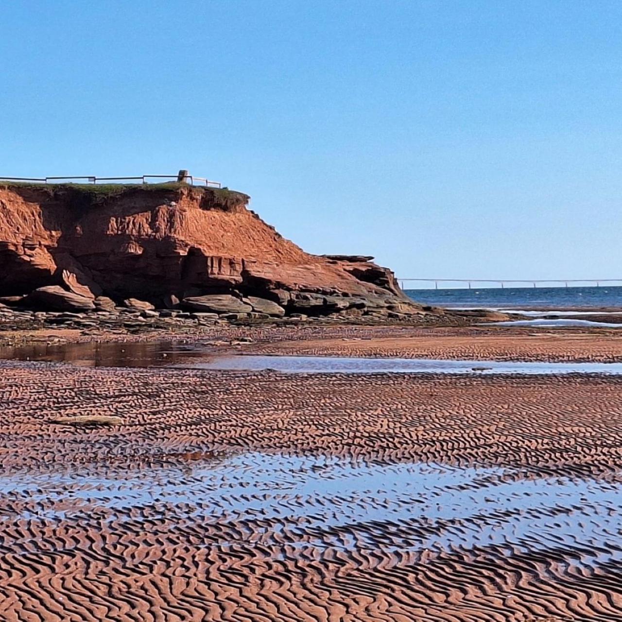 Cottages On Pei-Oceanfront Bedeque Eksteriør bilde